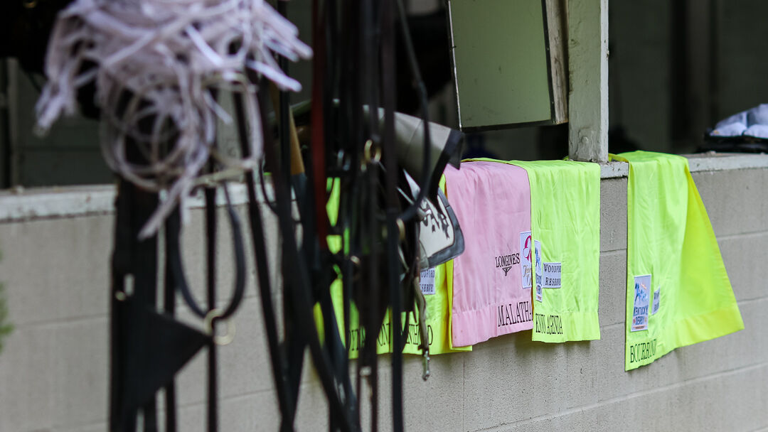 Pletcher saddle towels.jpg